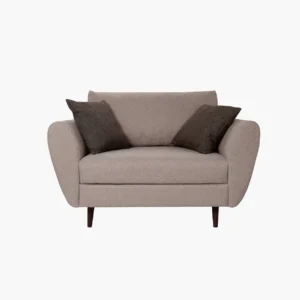 Modern Accent Armchair