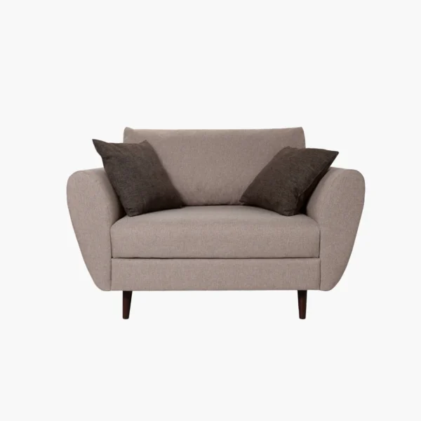 Modern Accent Armchair